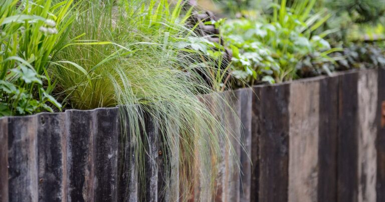 Compost Sans Tourbe PlantGrow - 100% Végétal, Pour Pots, Jardinières Et Plates-Bandes Surélevées