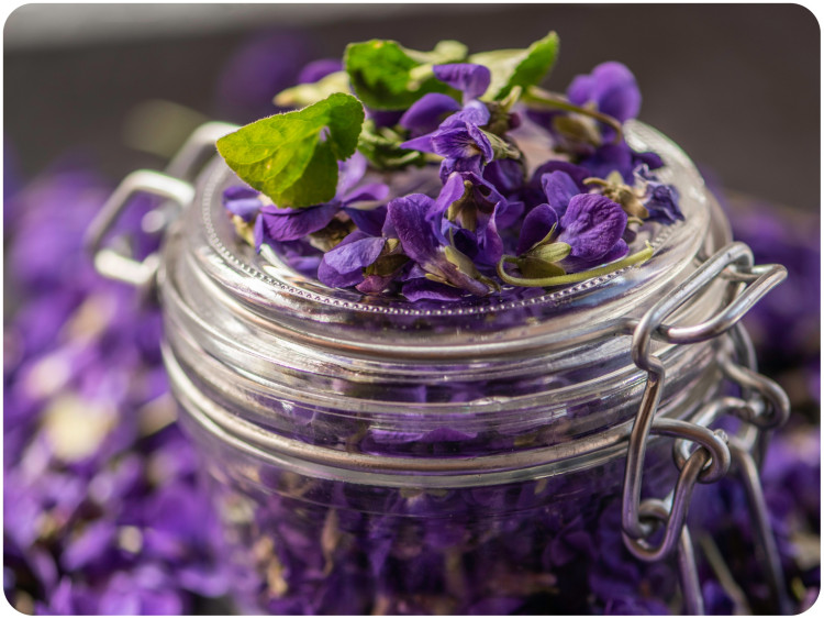 Améthyste Gemmes du Printemps |  Deux recettes aux fleurs de violette