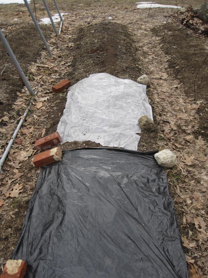 différentes techniques de réchauffement du sol dans un jardin