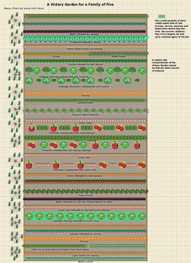 plan de jardin pour un jardin de victoire