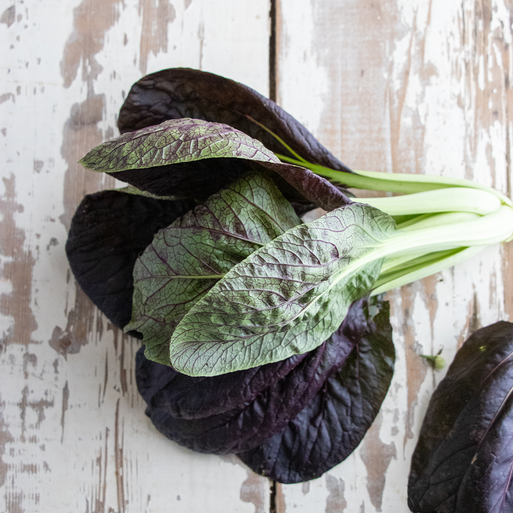 Purple Pak Choi part sur la table de la cuisine