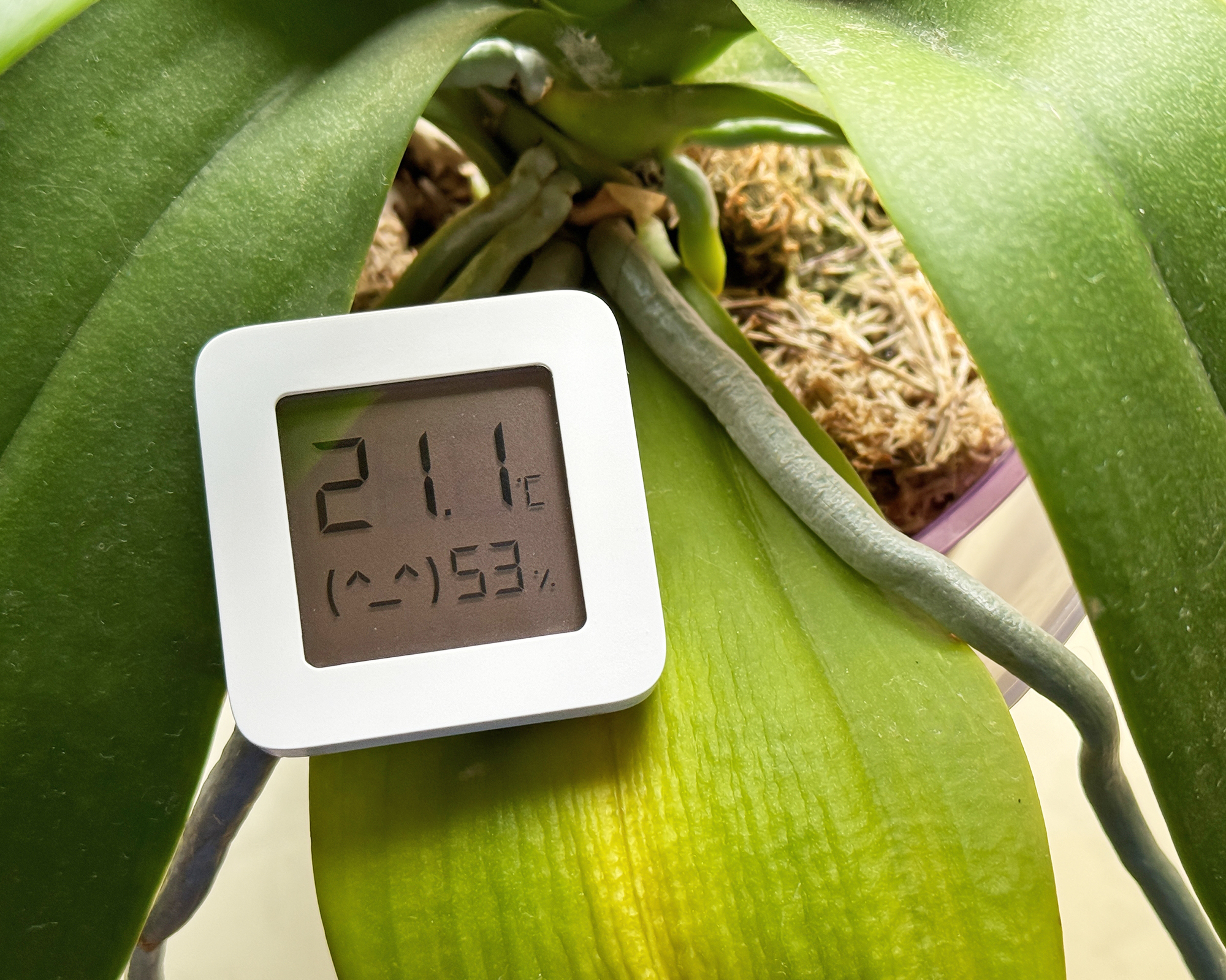 Relevé des niveaux de température et d'humidité du compteur