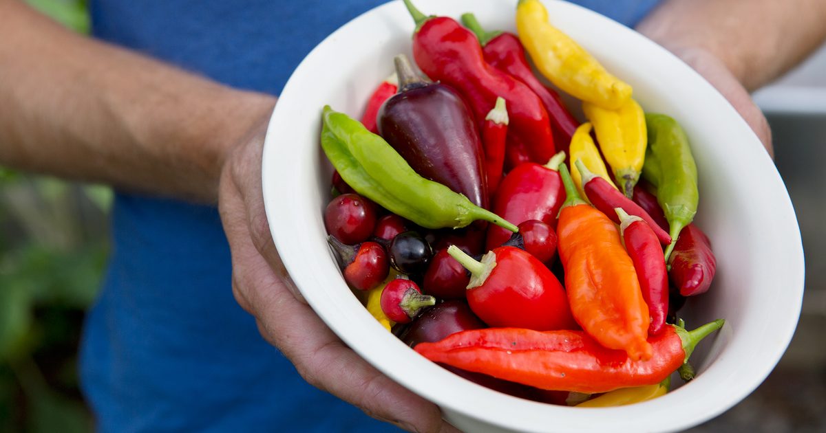 Les légumes à faible entretien et les fruits pour cultiver
