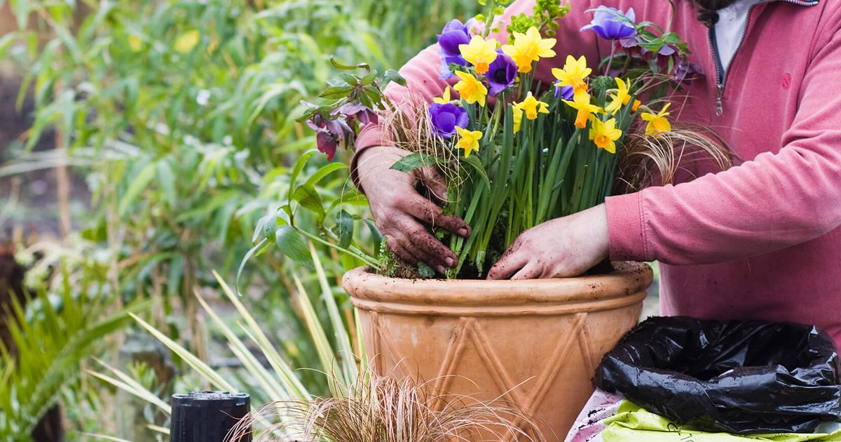 10 idées de conteneurs de printemps