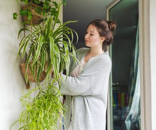 La fille a tendance à arder des plantes suspendues à des paniers sur le mur