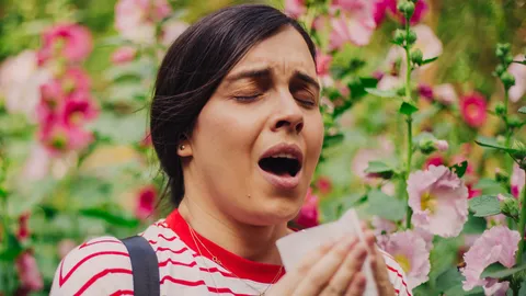 Allergies et conseils de jardinage | L'almanac de l'ancien agriculteur