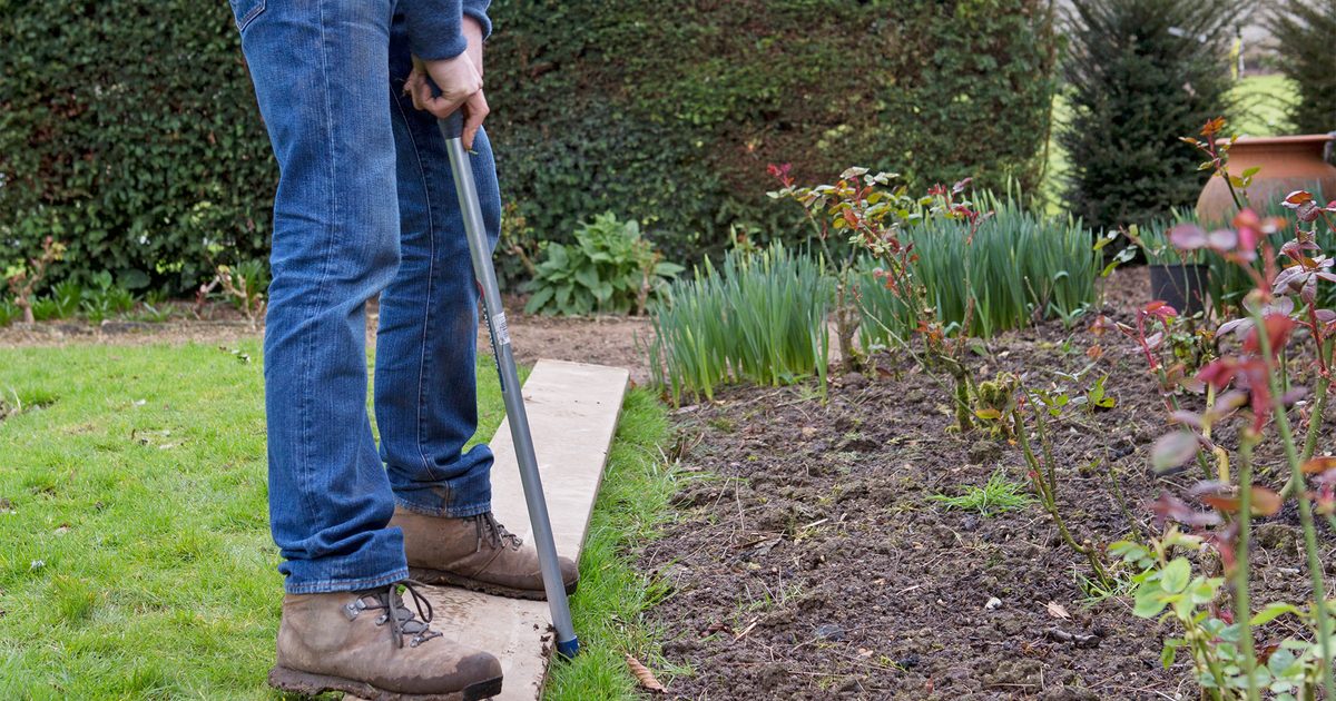 Comment donner à votre pelouse un coup de pouce de printemps