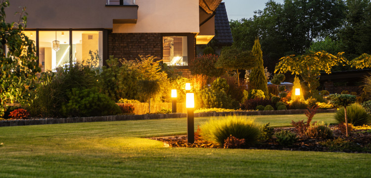 Jardin avec LED? Ce n'est pas un luxe - c'est une solution sage