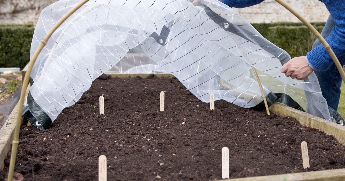 Jardinage pour les débutants: Pale de jardin