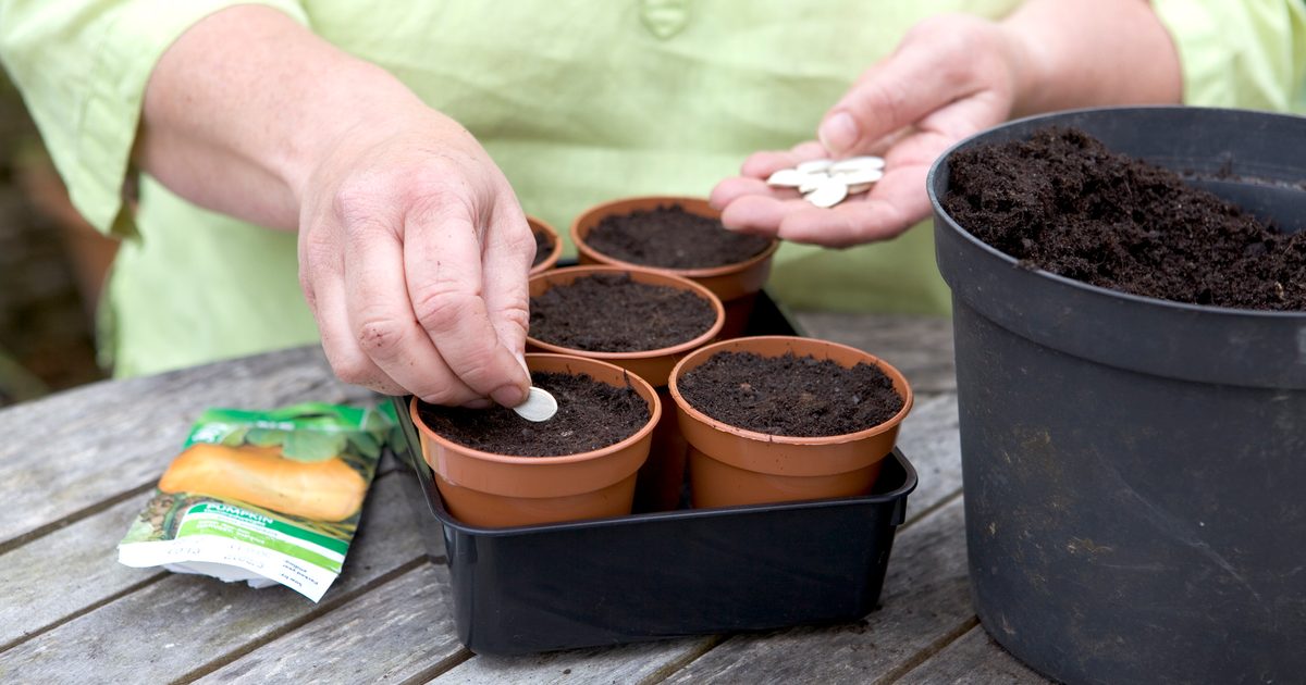 Que planter en avril