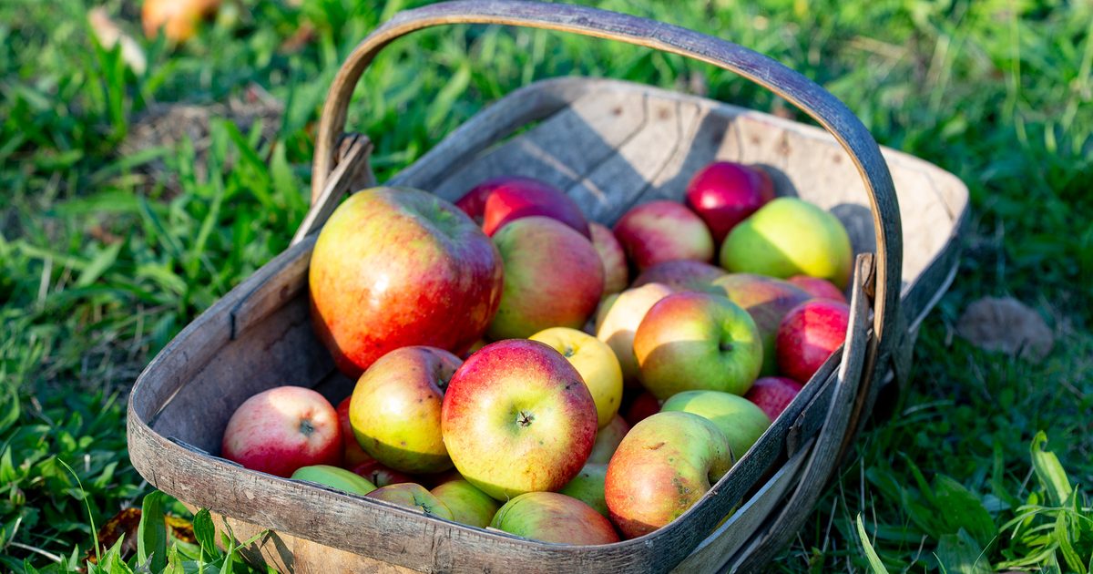 Recette de crumble de pomme et de mûre facile