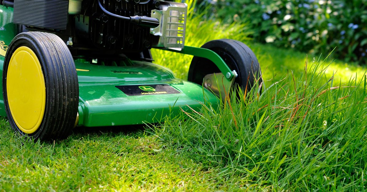 Sept conseils de soins de la pelouse