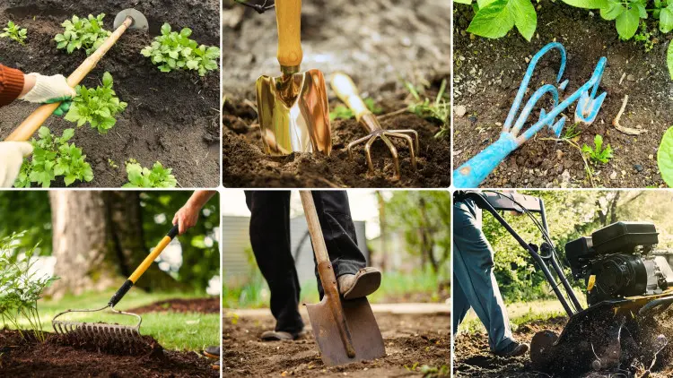 Avez-vous seulement une houe et une pelle au sol? C'est une erreur. Voir ce que d'autre vaut avoir