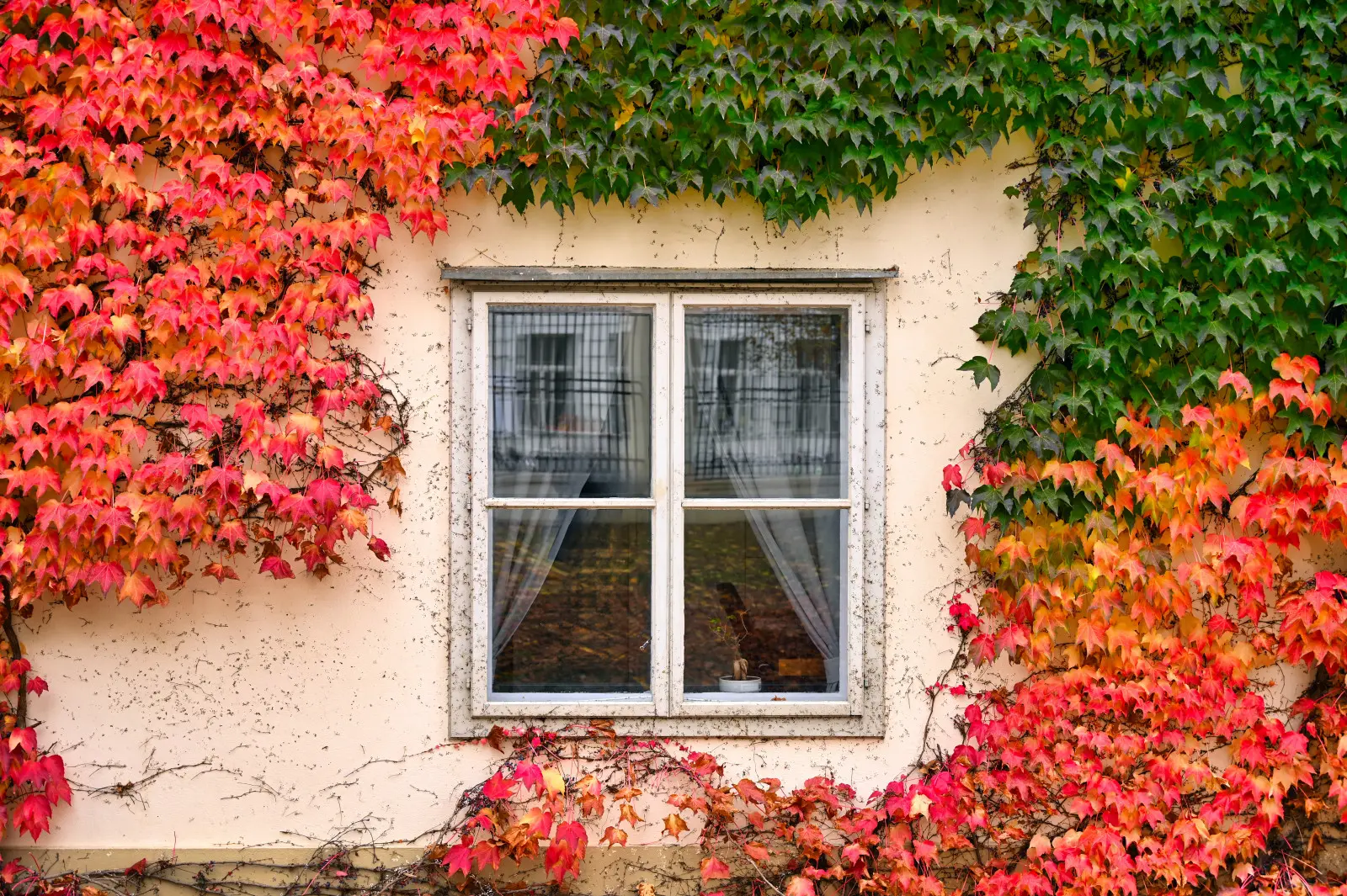 Ce point de vue impressionne, mais ... la façade va-t-elle la résister?