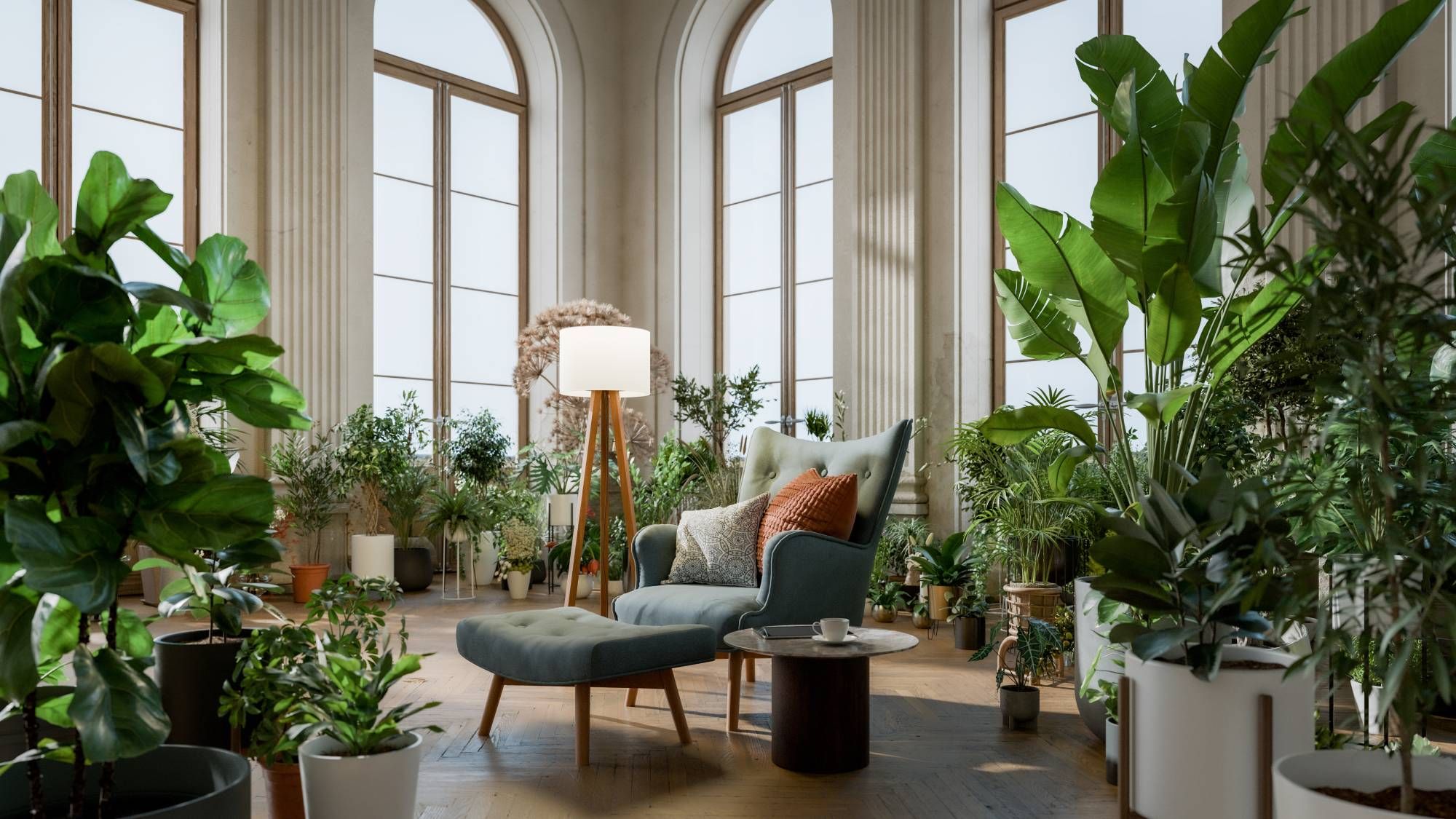 3 méthodes simples pour humidifier vos plantes d’intérieur cet hiver