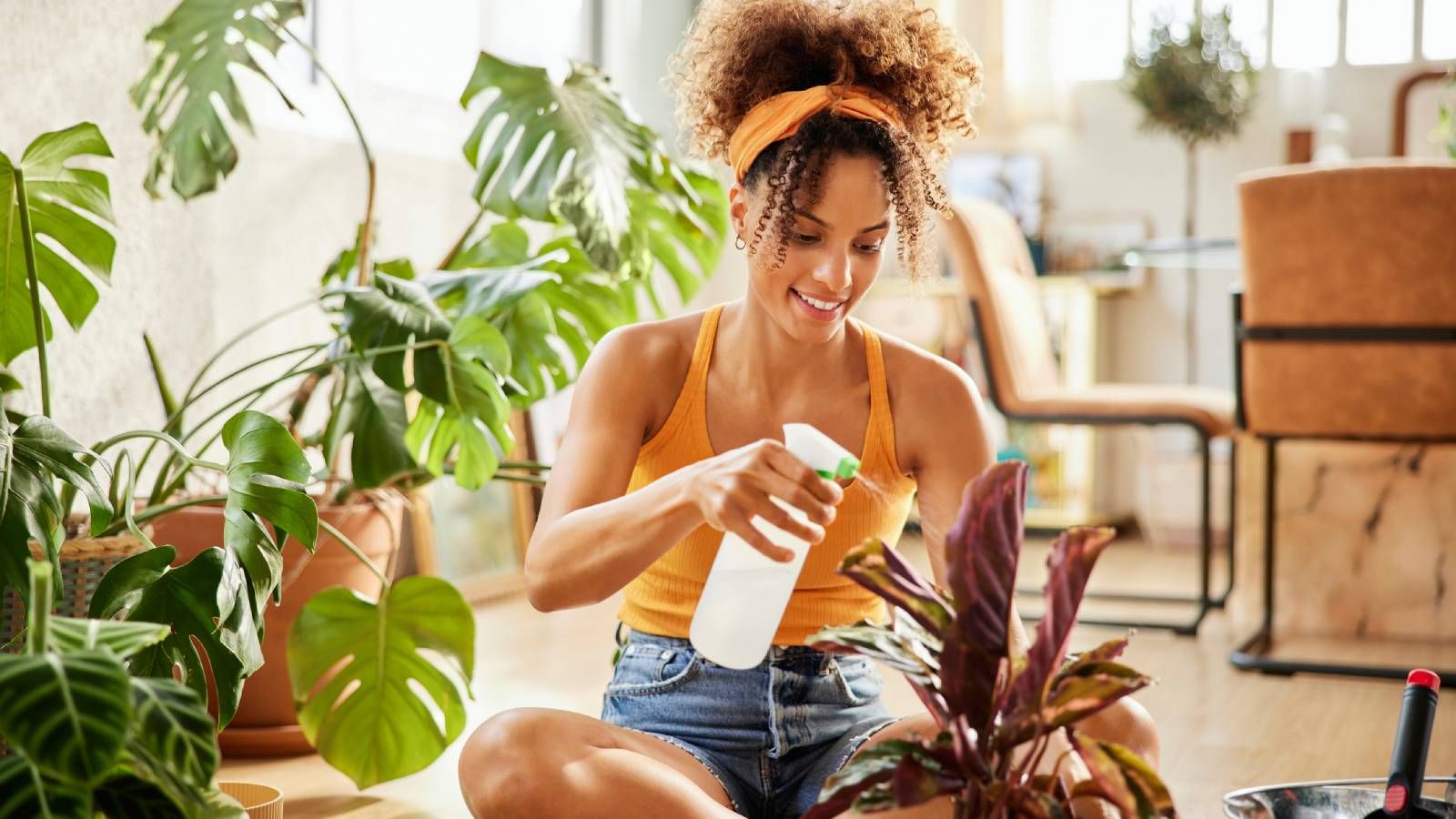 A woman sprays a spray bottle on a houseplant