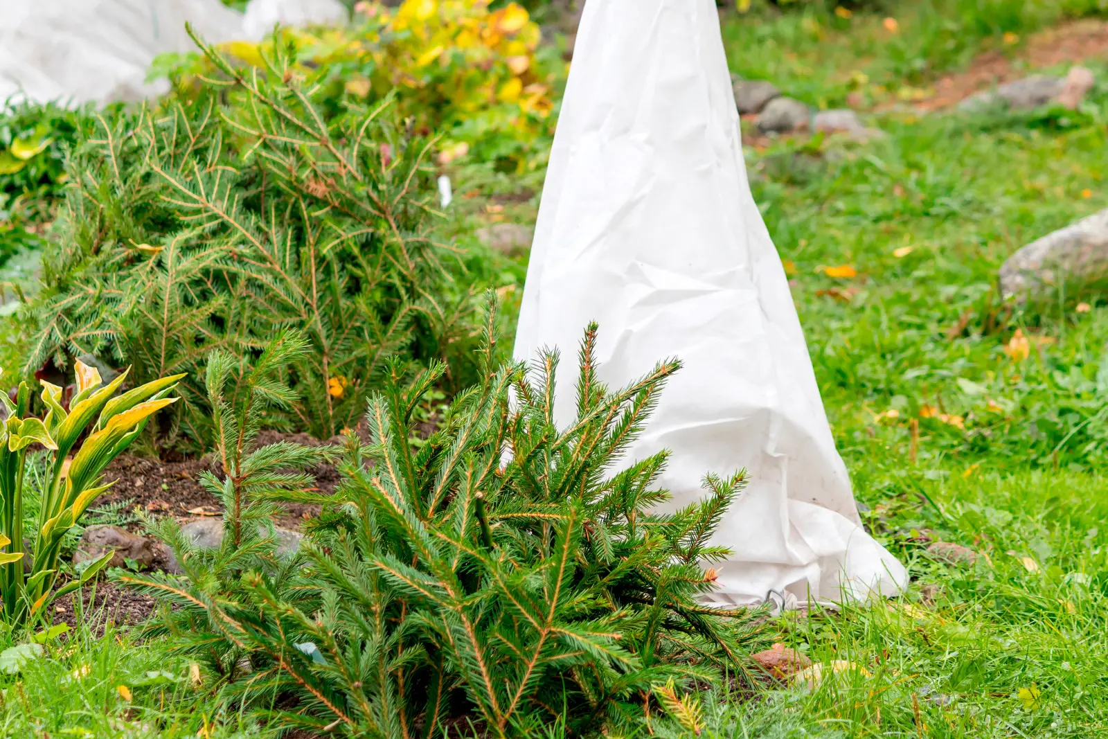 Vous avez encore le temps, mais n'attendez pas trop longtemps. L'hiver arrive et il fera froid