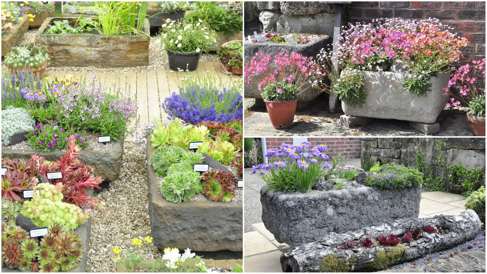 Vous souhaitez animer votre balcon XXS ? L'expert décrit une solution à la mode, efficace et peu exigeante