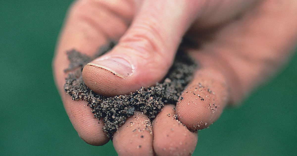 Découvrez votre type de sol
