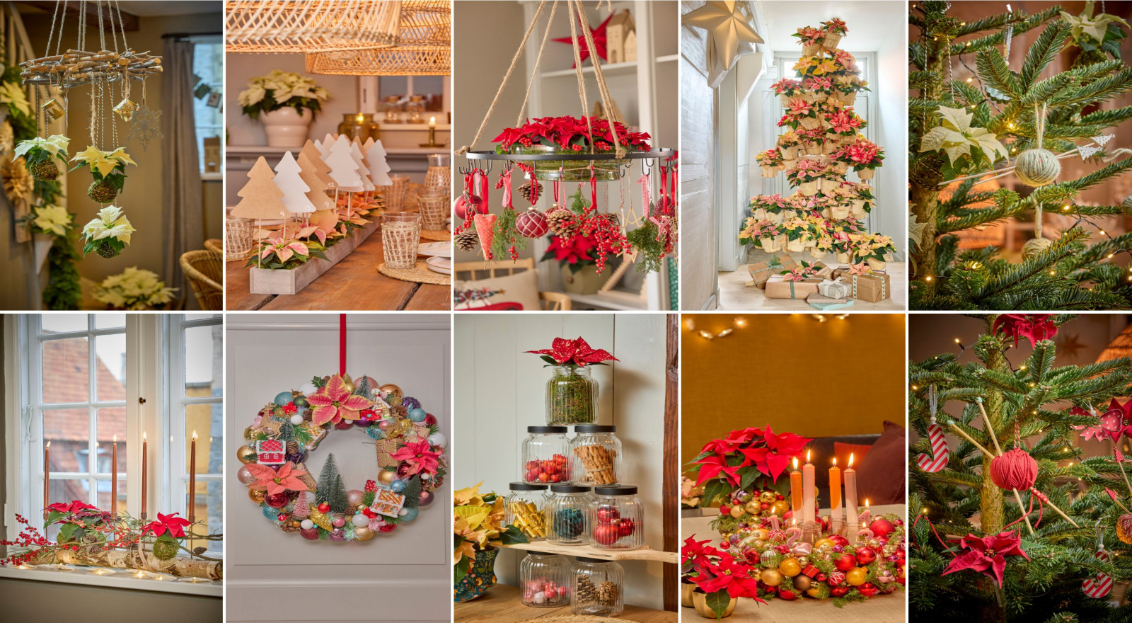 L'étoile de Bethléem brille d'une nouvelle lumière - que pouvez-vous évoquer avec elle cet hiver ?