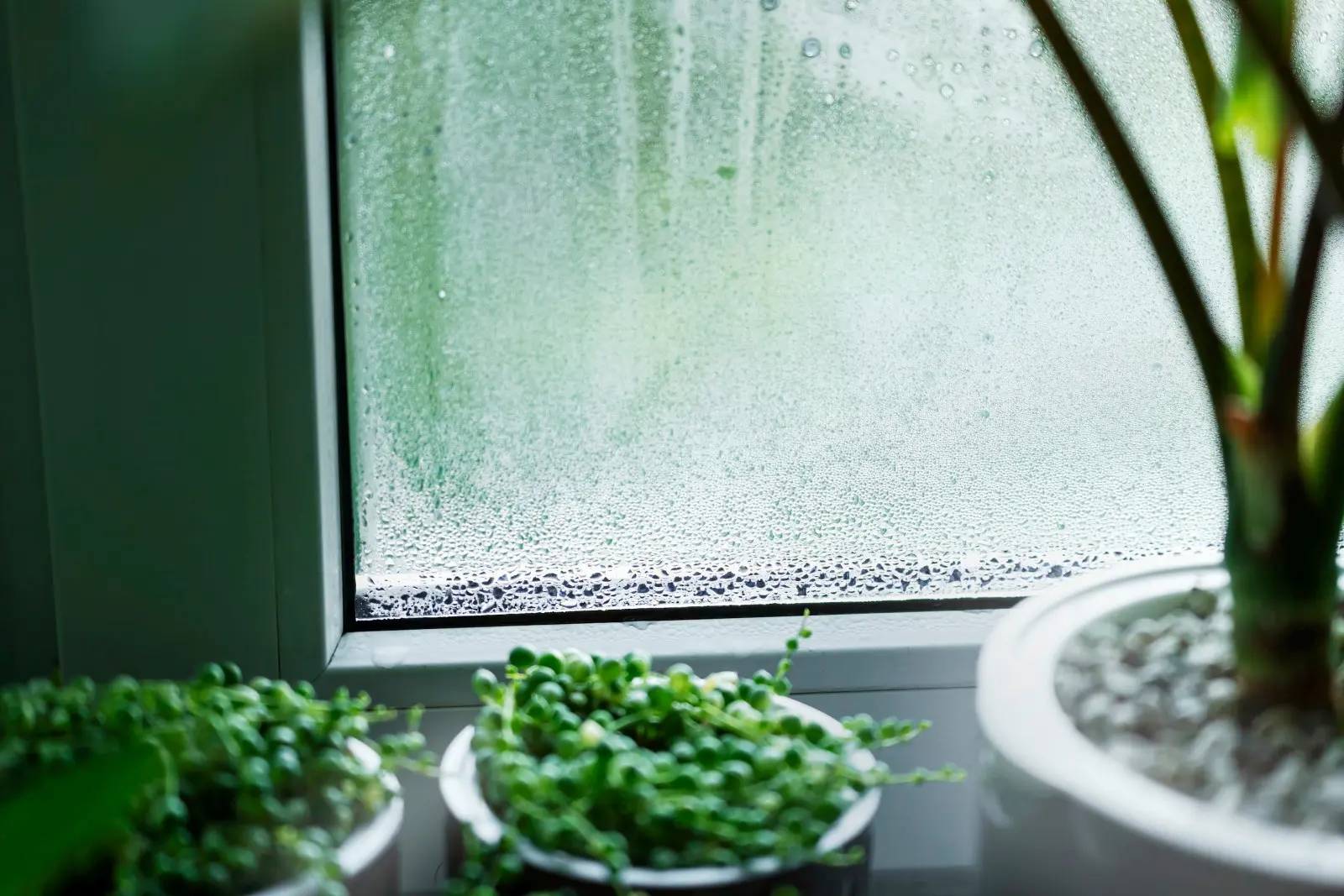 De l'eau sur les fenêtres en hiver ? Ce n'est pas la faute de la météo, mais d'une mauvaise ventilation