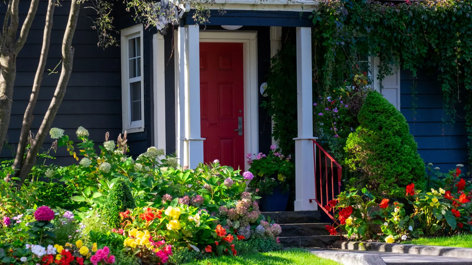 Plantes pour le jardin de devant pour le soleil et l'ombre. Ensembles simples de 3+3 espèces pour toute l'année
