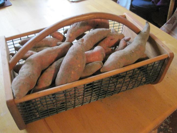 patates douces dans un panier