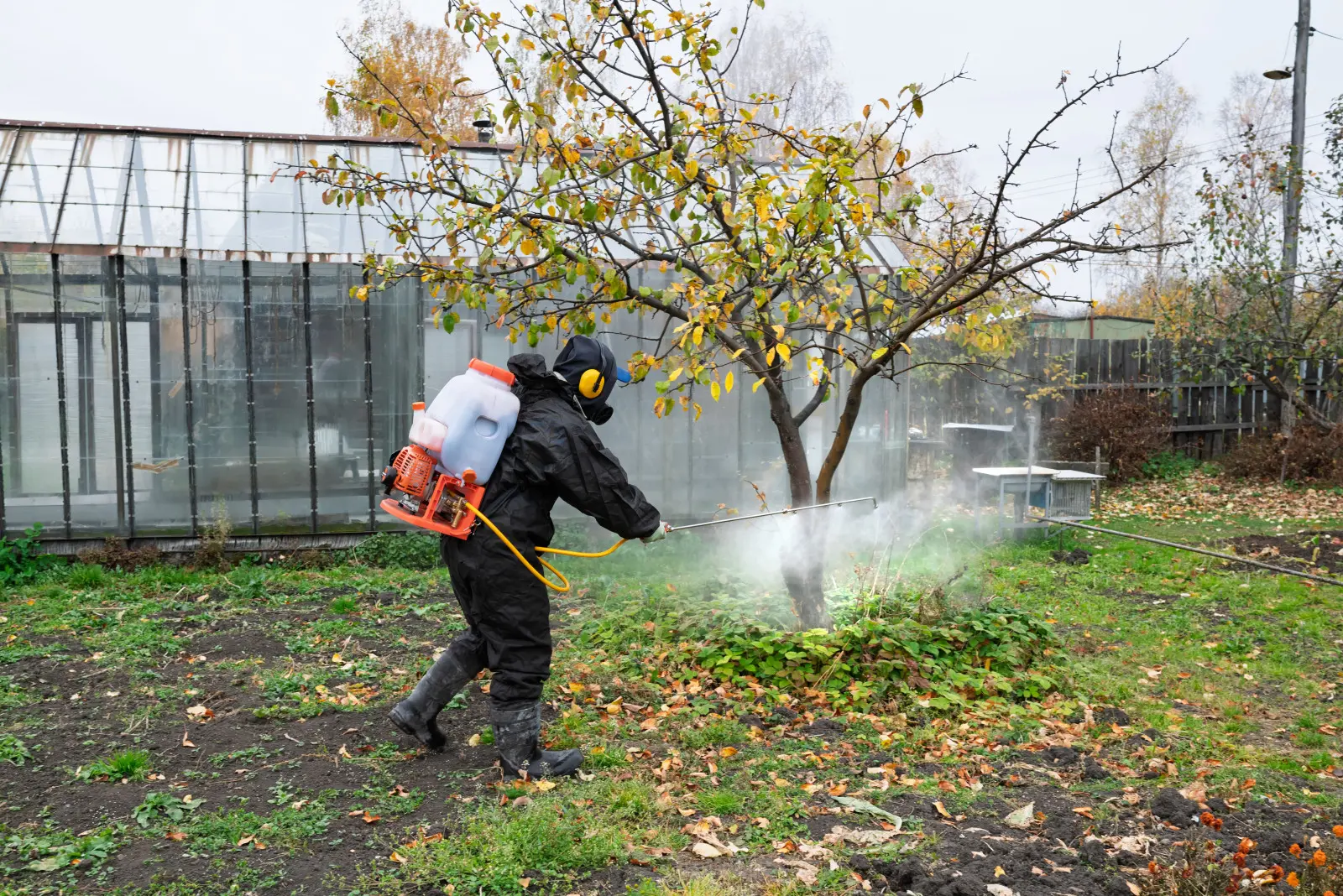 Soufre dans le jardin - quoi, quand et comment pulvériser pour ne pas nuire aux plantes ?