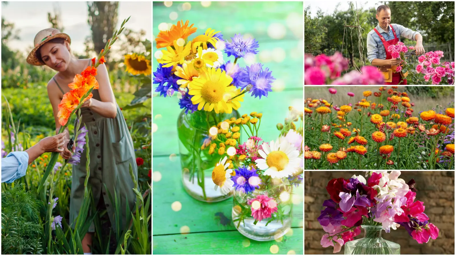 Vous aimez être entouré de fleurs à la maison ? Ce sont 20 espèces recommandées pendant 12 mois