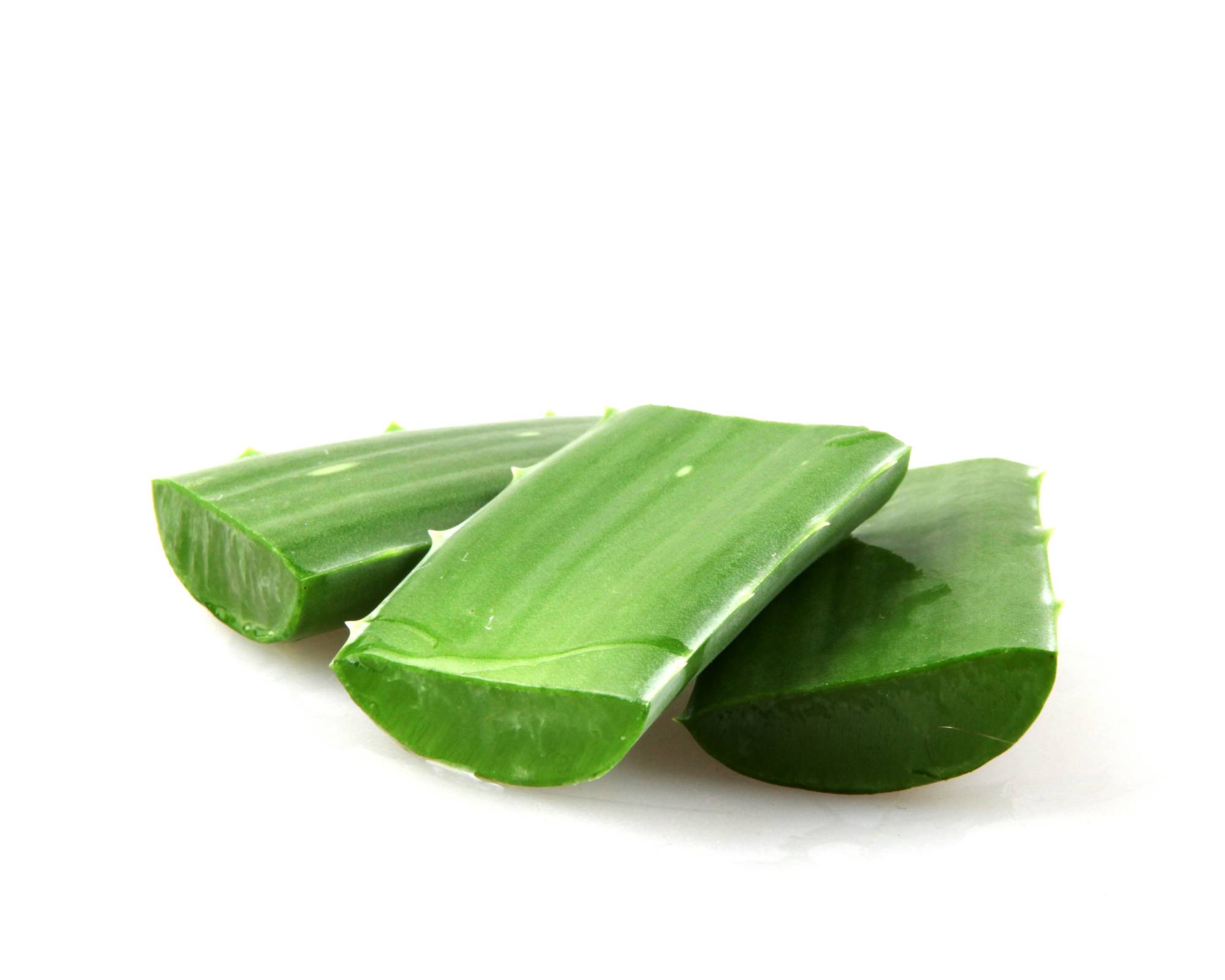 Propager l'aloe vera avec des boutures de feuilles