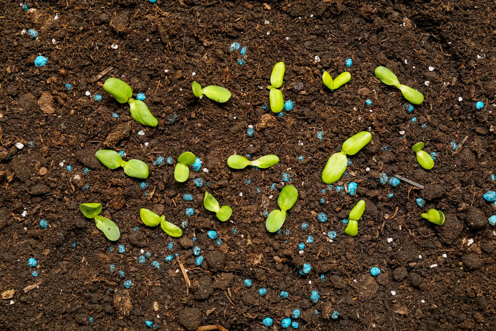 Des ballons qui changent les règles du jeu au jardin ? Voyez ce qu'il y a dans ce pays