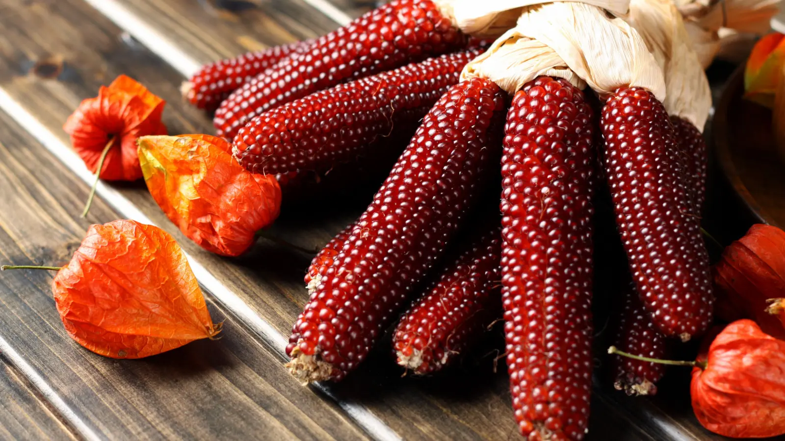 Les épis couleur vin : sont-ils bons à la consommation ? Nous vous disons quand il vaut mieux simplement les regarder