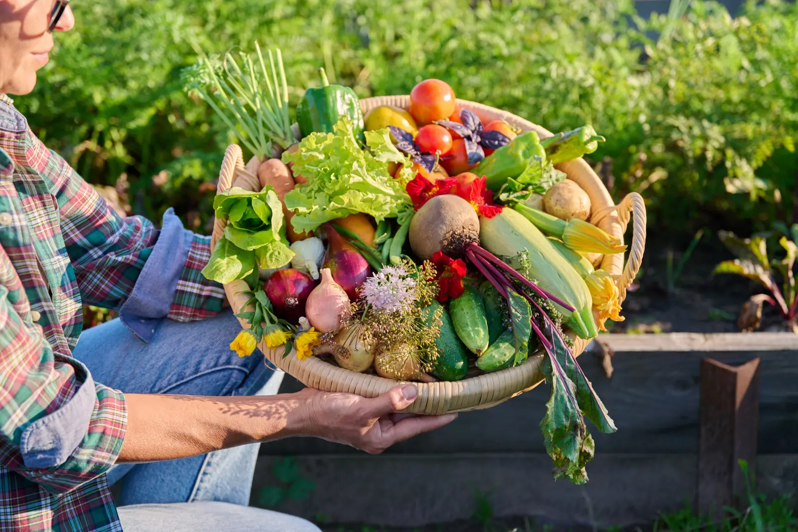 Un potager pour débuter et des légumes faciles à cultiver. Conseils et vidéos