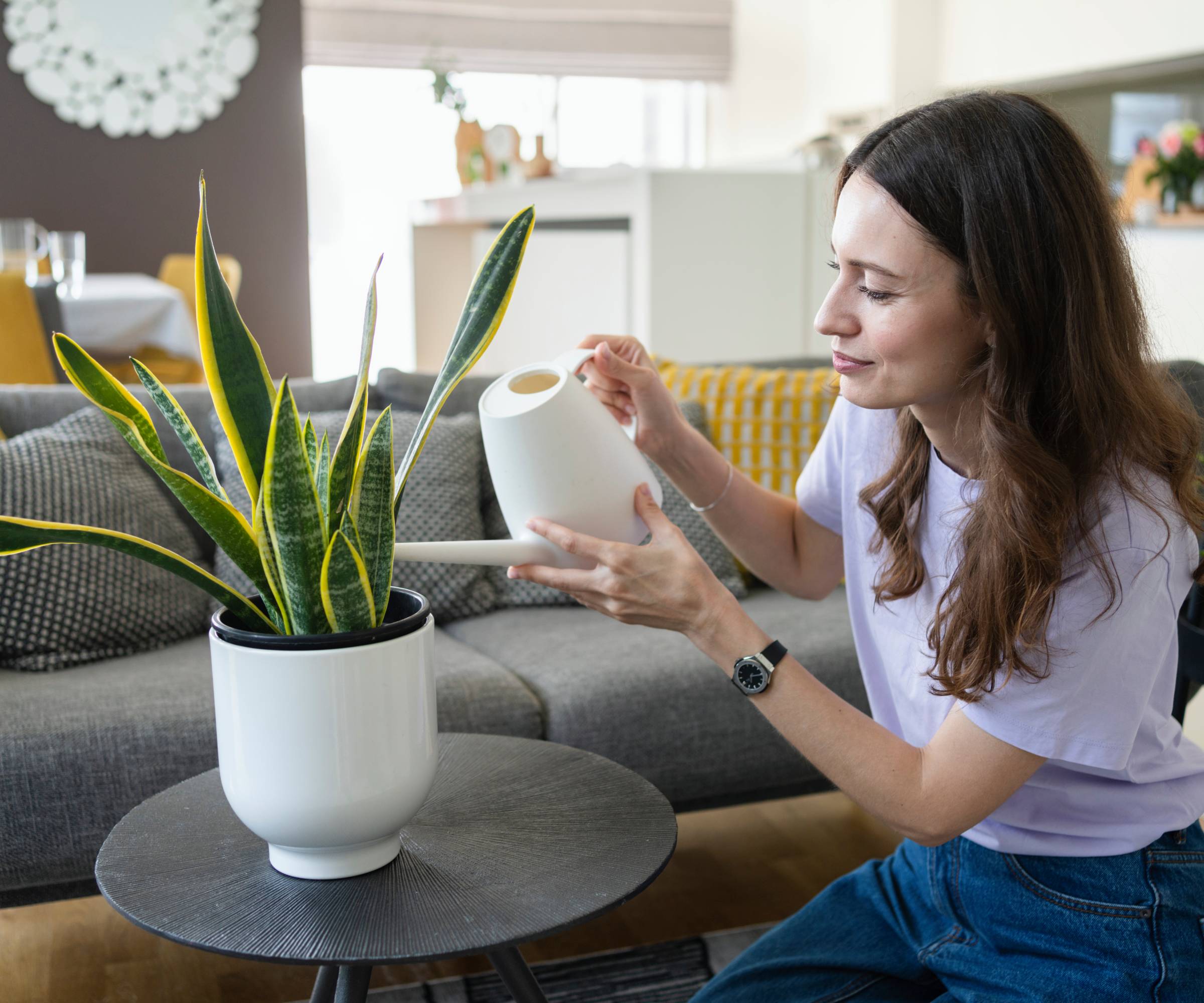 Une femme utilise un arrosoir pour arroser une plante serpent en pot