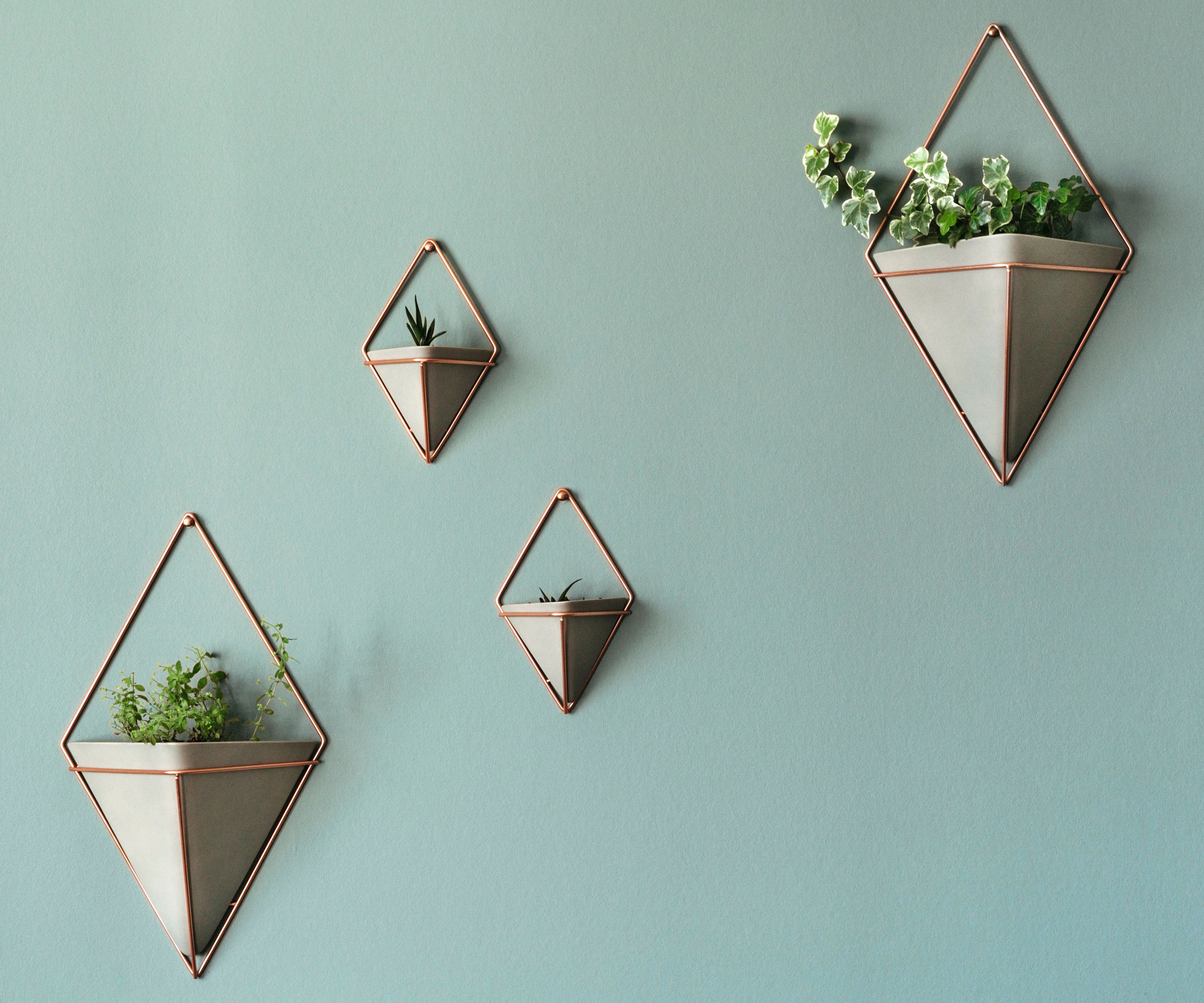 plantes d'intérieur suspendues à des élingues et à des pots géométriques sur un mur bleu pâle