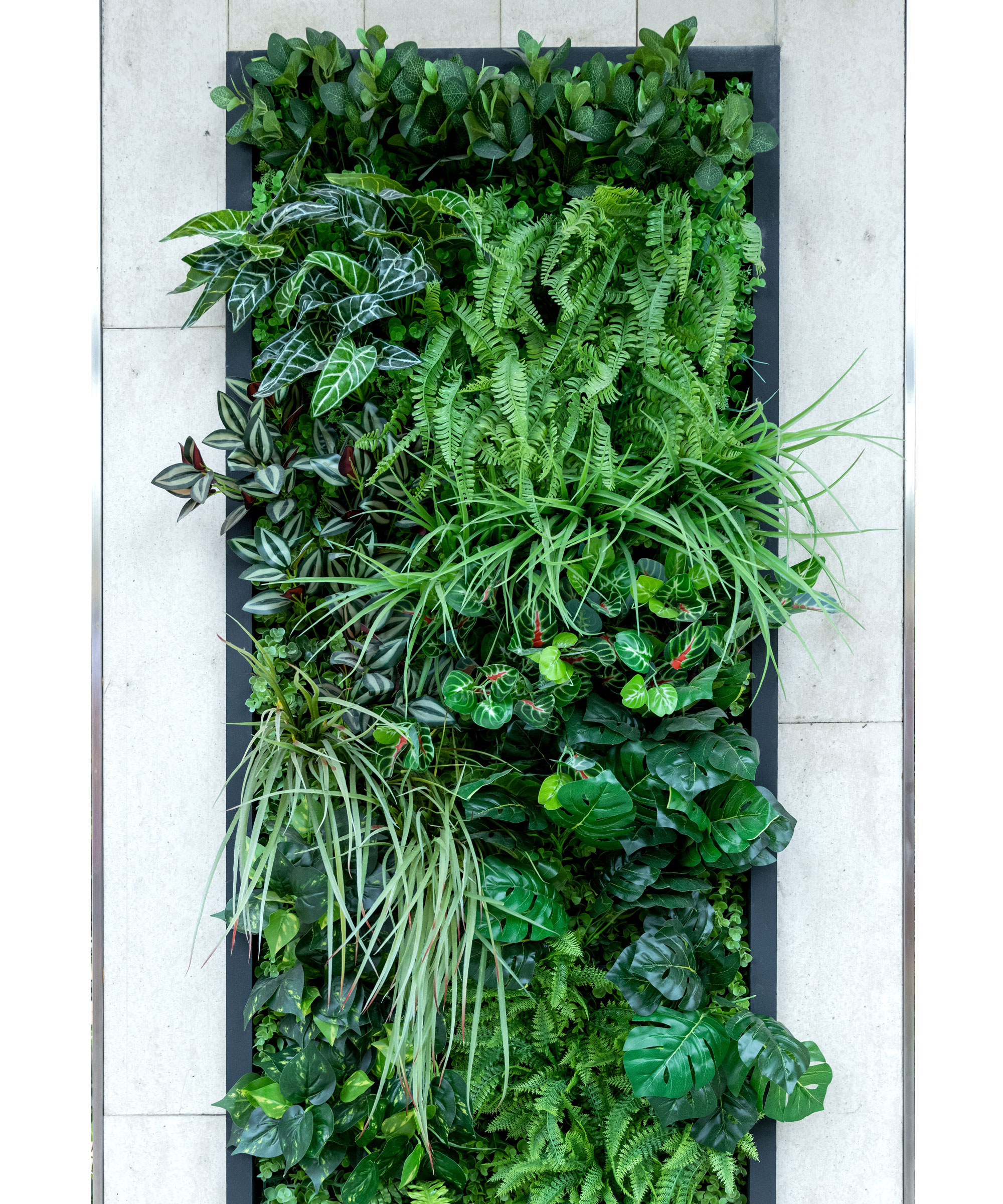 cadre mural de plantes d'intérieur dans la jungle contre un mur blanc
