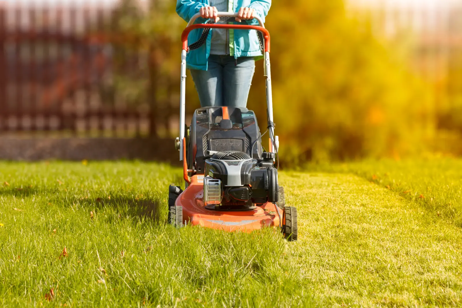 Chaleur et tonte, une mauvaise combinaison ? Vérifiez quand il est préférable de ne pas démarrer la tondeuse à gazon