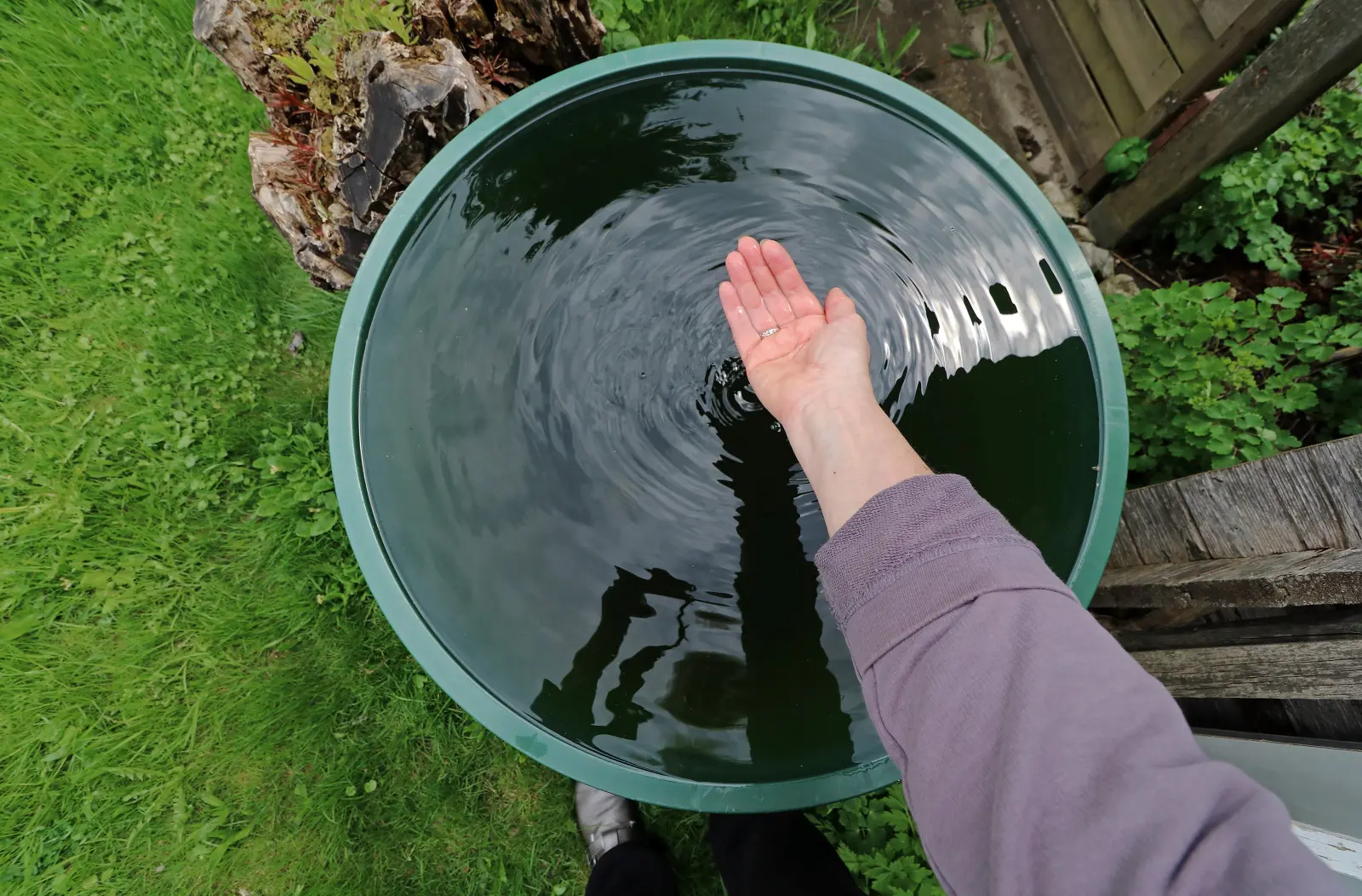 En période de sécheresse, chaque goutte compte. Les jardiniers récupèrent de plus en plus souvent l’eau de pluie