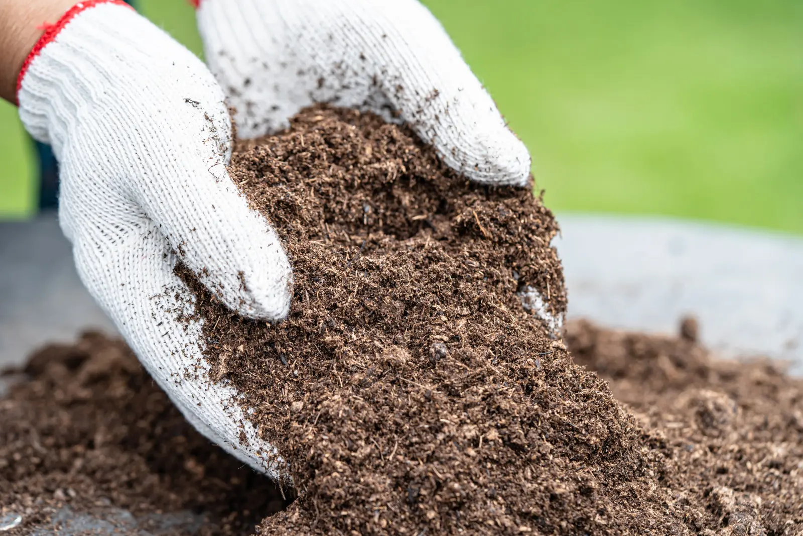 Est-ce que chaque plante aime la tourbe acide ? Vérifiez avant de l'utiliser