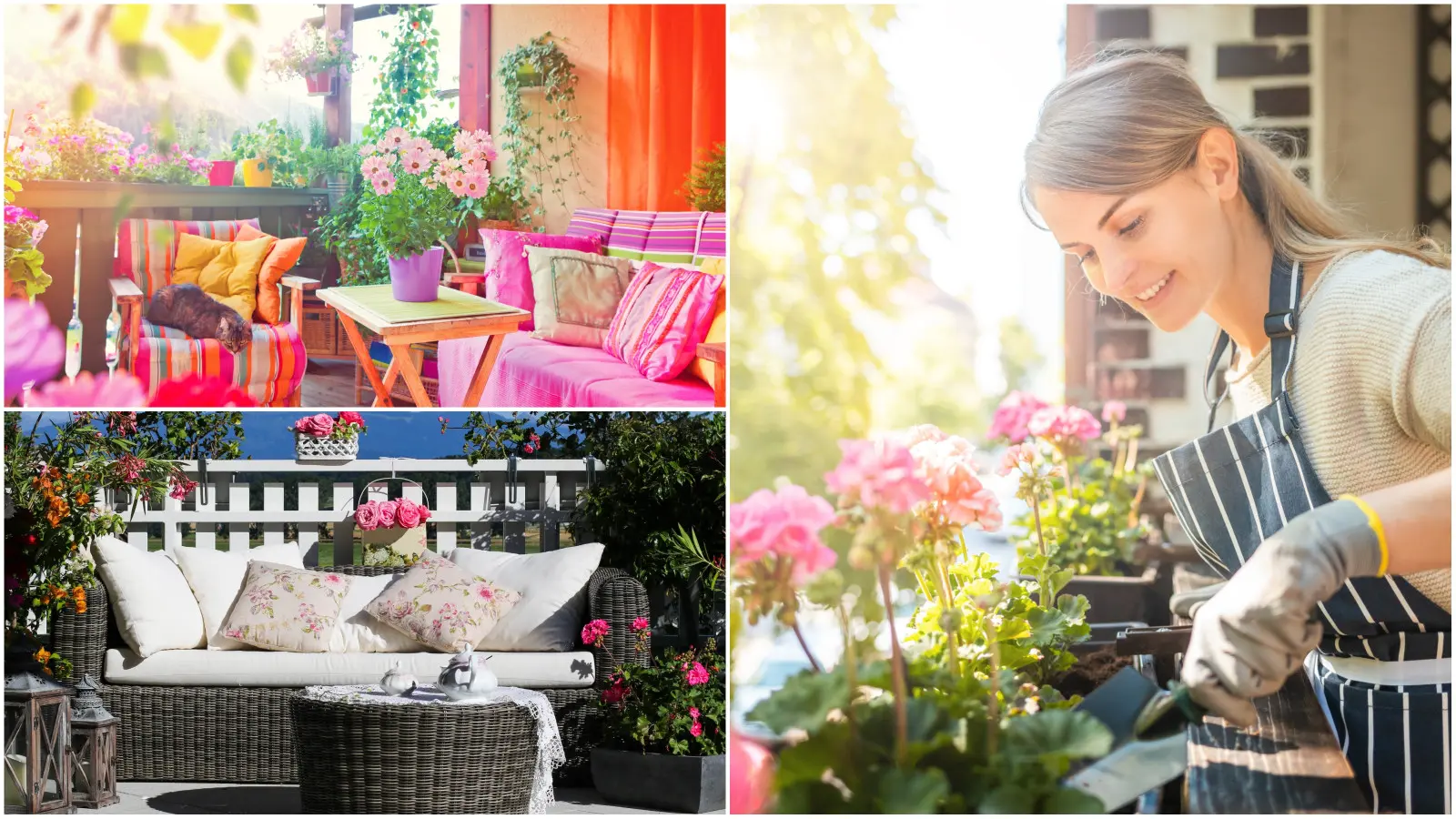 Prévoyez un balcon sans interruption de floraison ! Voici les plantes qui donneront de la couleur de mars à octobre