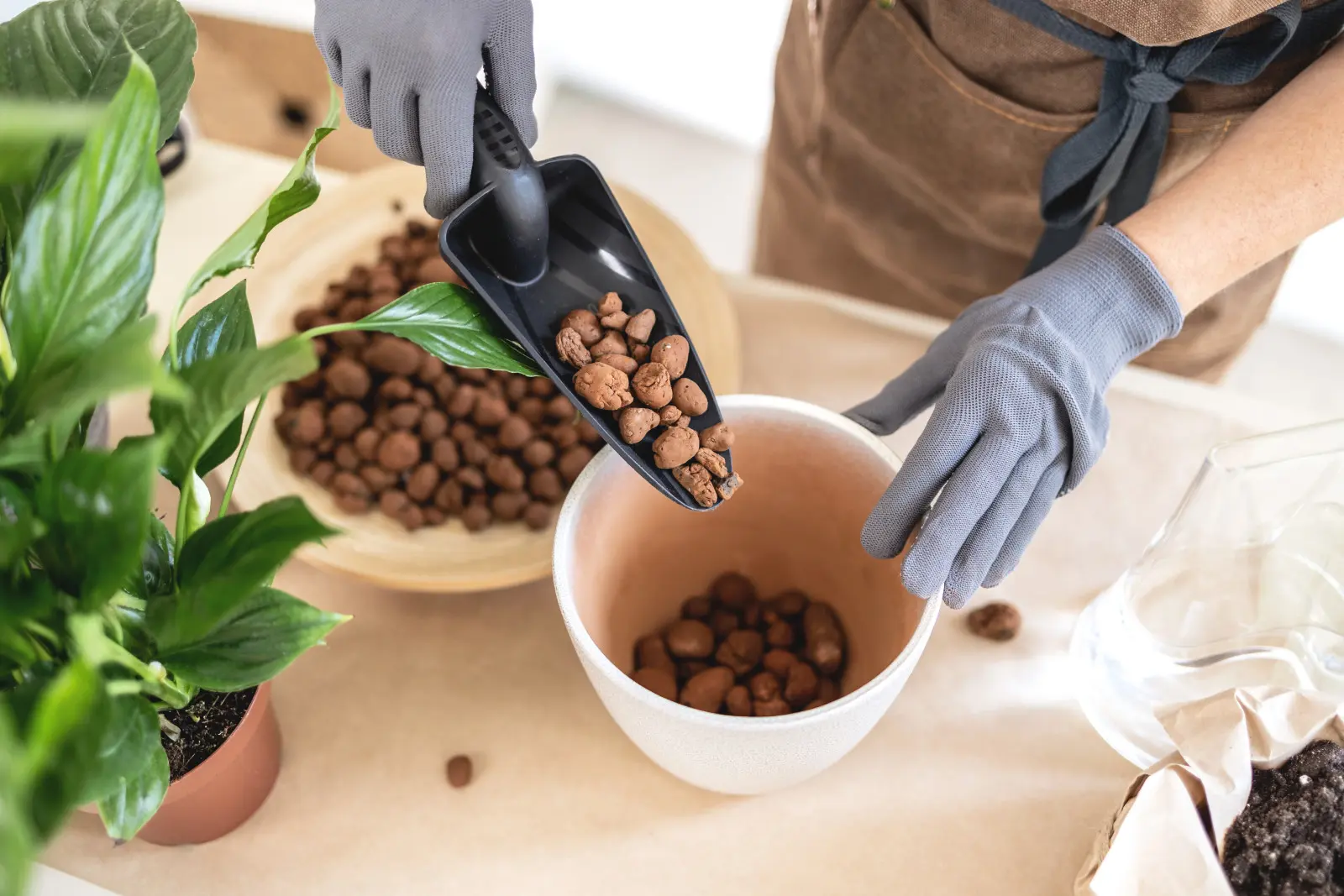 Que mettre au fond du pot ? Non seulement l'argile expansée peut être utilisée comme drainage