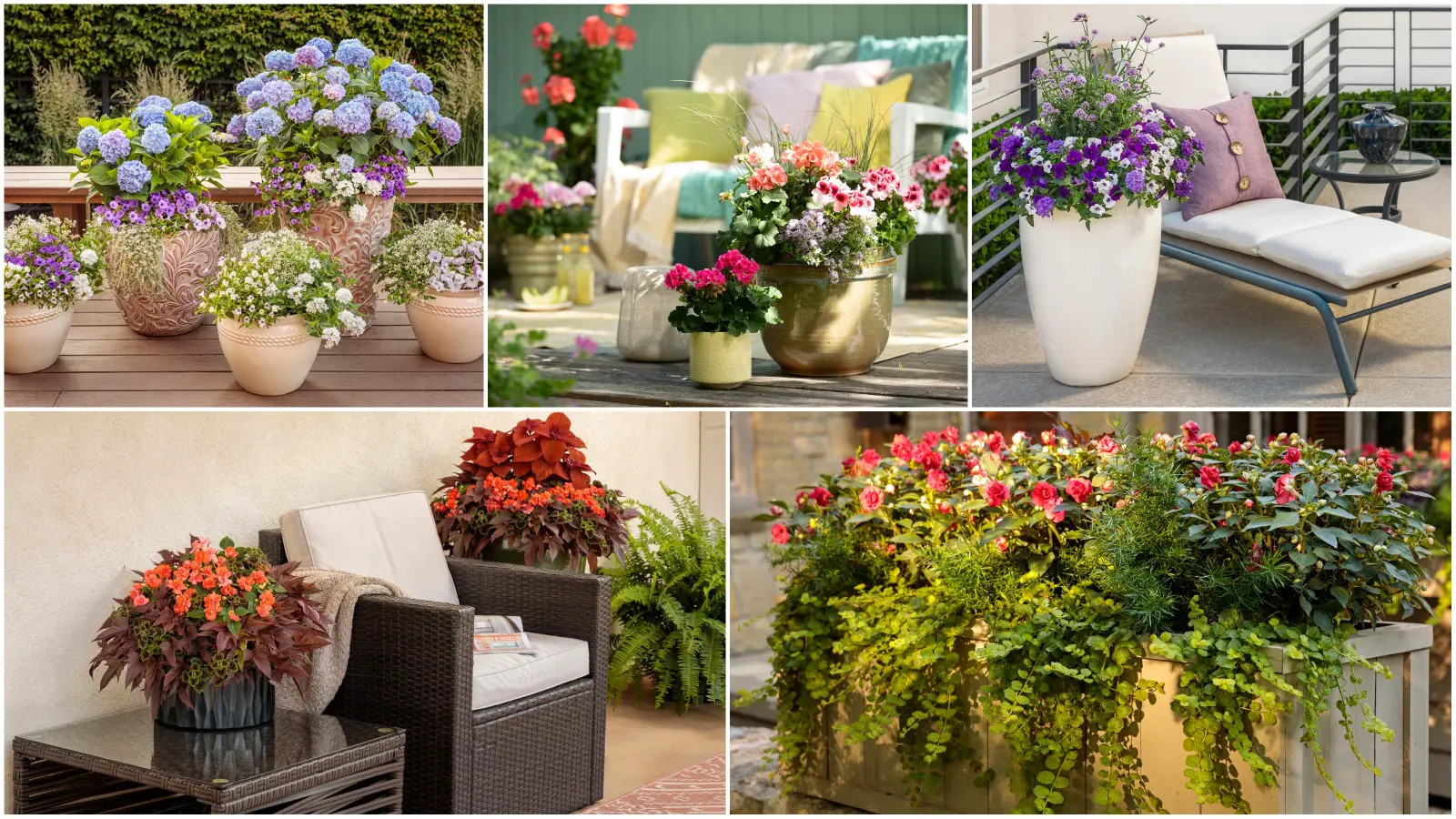 Une façon d'avoir un balcon fleuri du printemps à l'automne. Plantez l'un des 10 succès sur le balcon