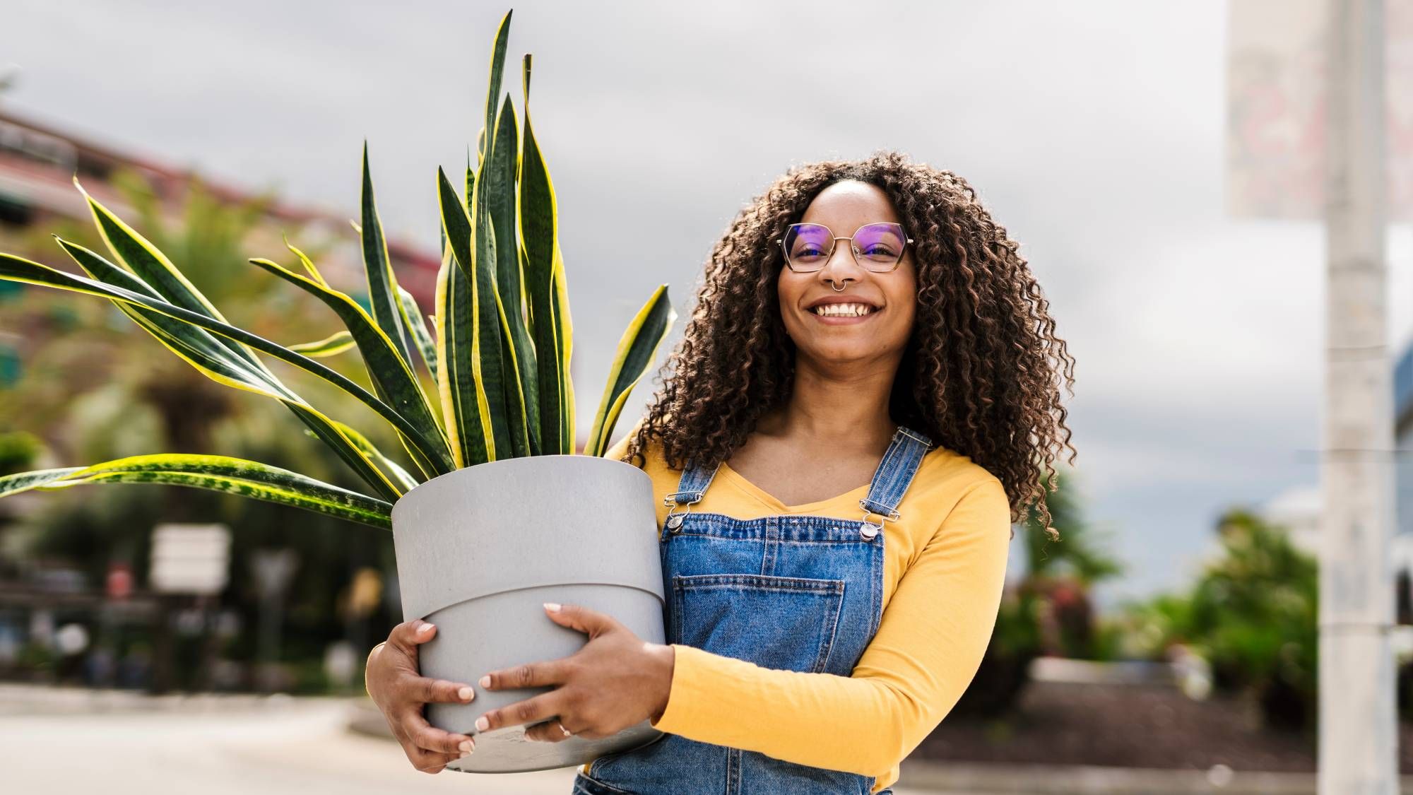 5 plantes d'intérieur à déplacer dehors en juin et 5 à éviter