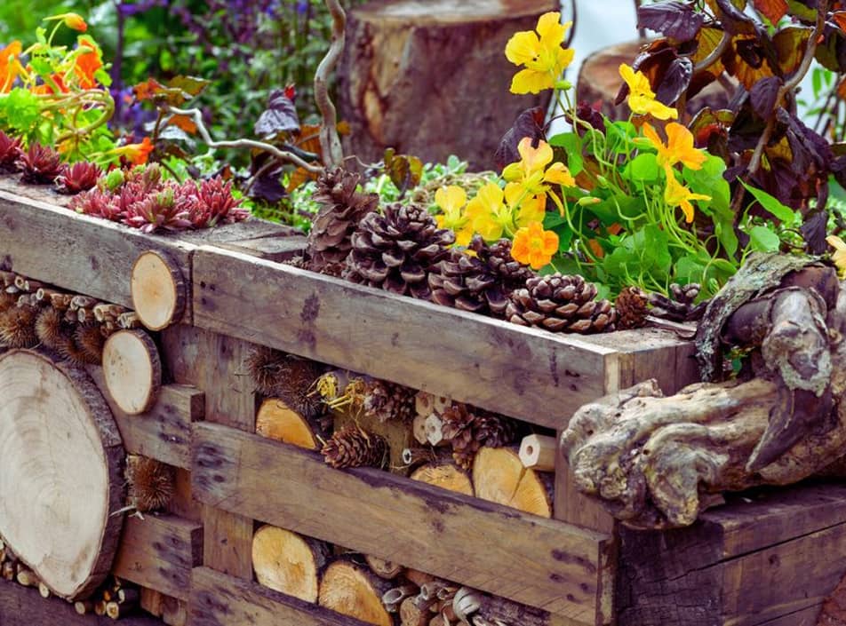 Image of a garden with plants and wood