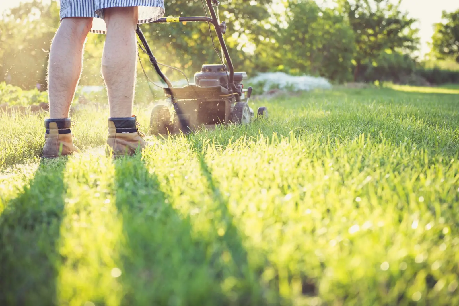 Comment préparer son jardin pour la saison estivale ?