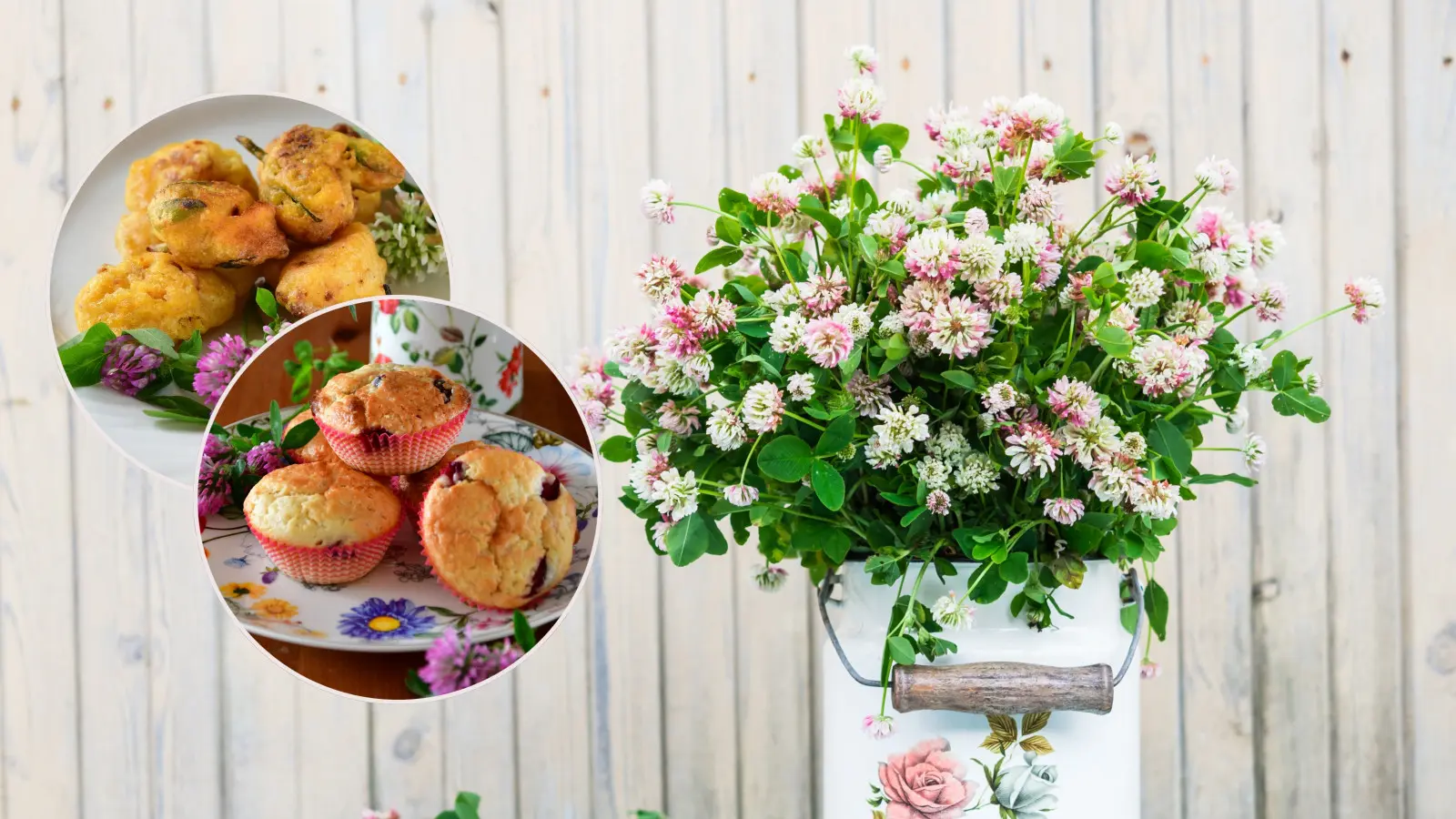 Les fleurs de trèfle peuvent être consommées. Voici une recette de muffins et trèfle frit