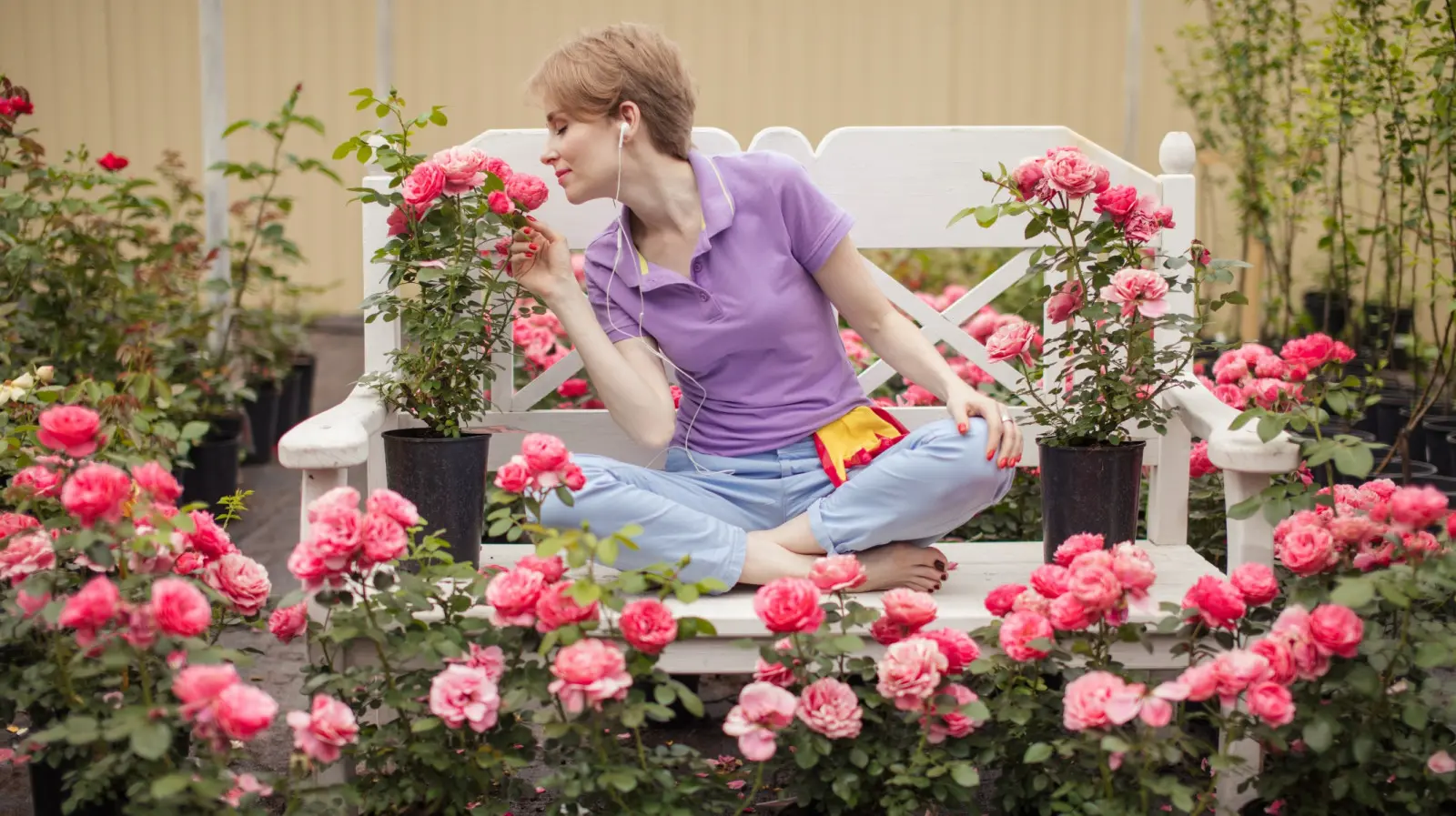 Peu de travaux, beaucoup de fleurs. C'est ainsi que les jardiniers prennent soin des roses