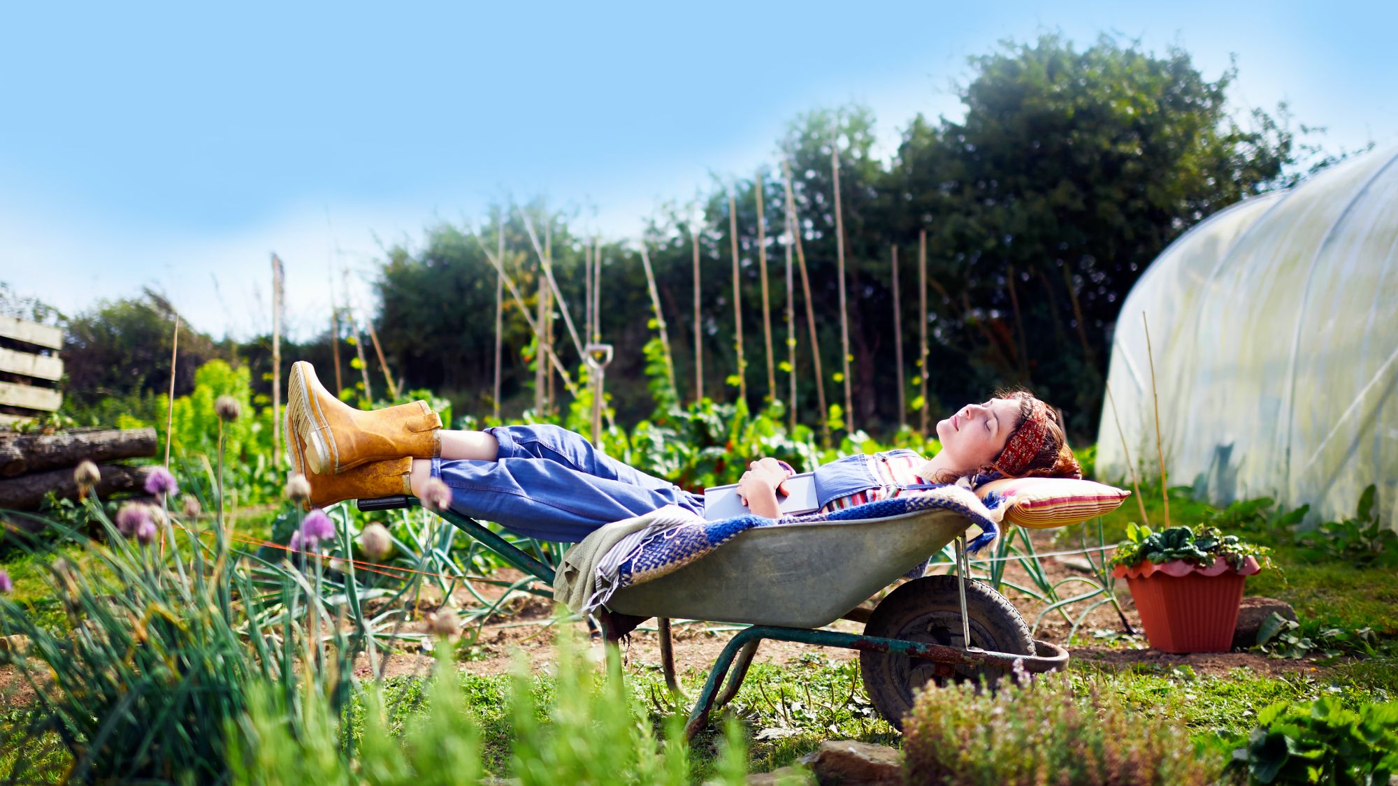 10 astuces de jardin qui vous feront gagner du temps pour vous faciliter la vie par temps chaud