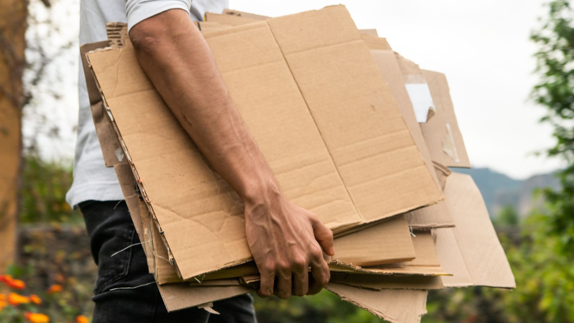 4 bonnes raisons pour lesquelles les jardiniers économisent les boîtes en carton