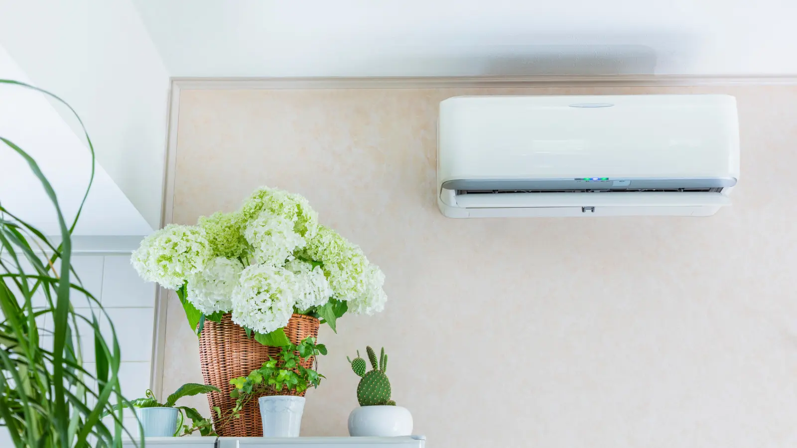 Allumez-vous la climatisation par temps chaud ? Vérifiez ce qui arrive aux plantes